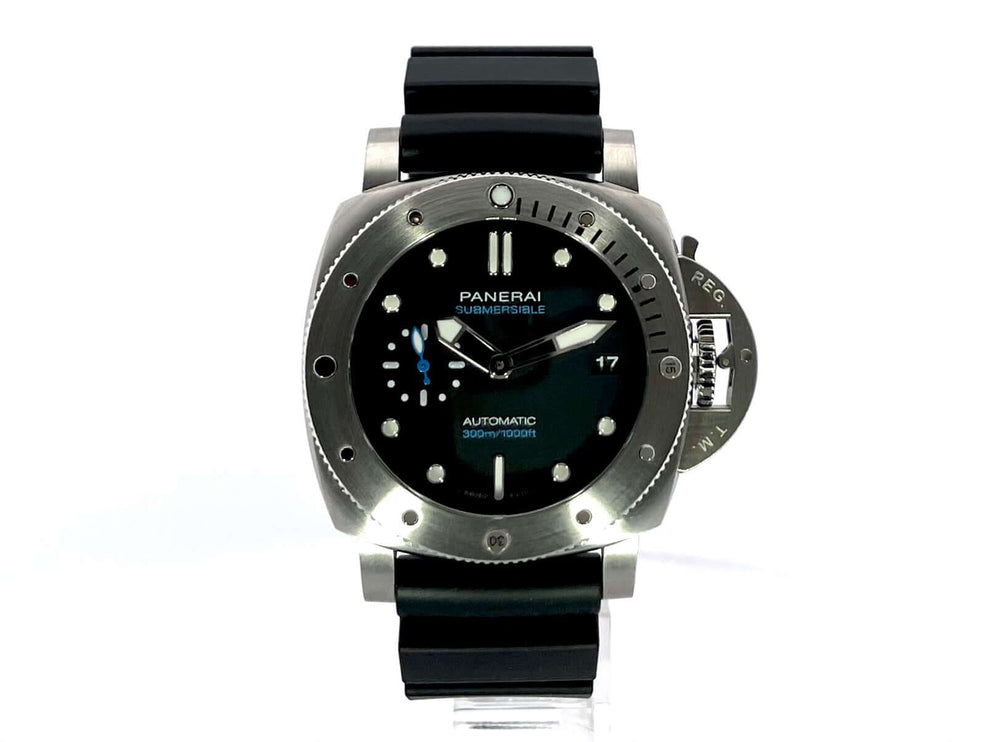 PAM02973-2